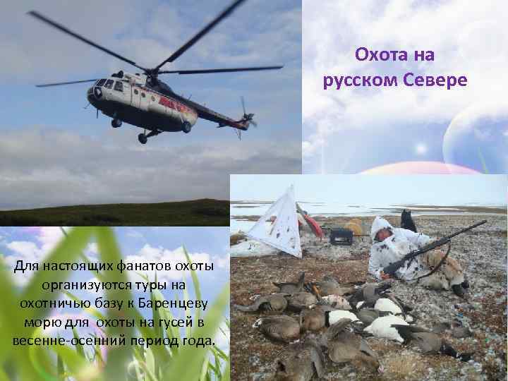 Охота на русском Севере Для настоящих фанатов охоты организуются туры на охотничью базу к