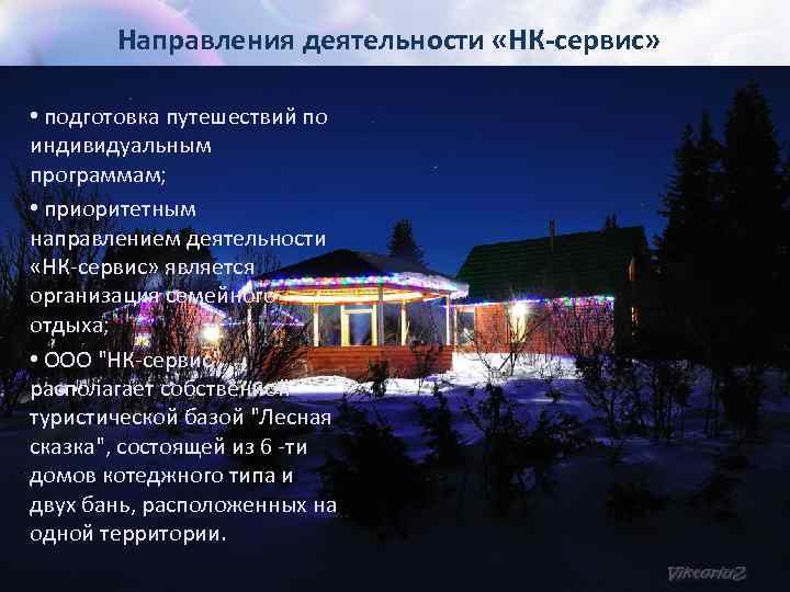 Направления деятельности «НК-сервис» • подготовка путешествий по индивидуальным программам; • приоритетным направлением деятельности «НК-сервис»