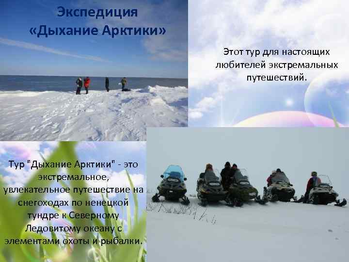 Экспедиция «Дыхание Арктики» Этот тур для настоящих любителей экстремальных путешествий. Тур 