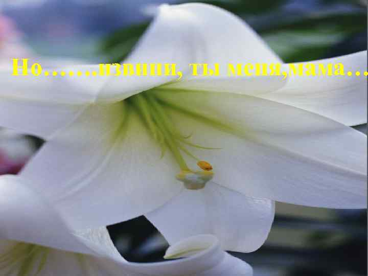 Но……. извини, ты меня, мама… 