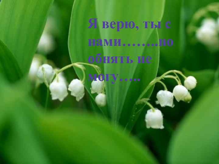 Я верю, ты с нами……. . но обнять не могу…. . 