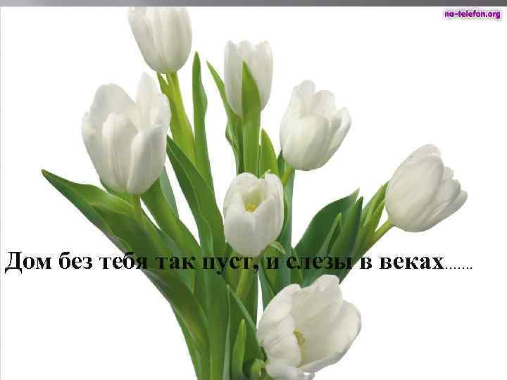 Дом без тебя так пуст, и слезы в веках……. 