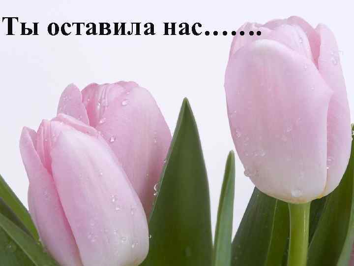 Ты оставила нас……. 