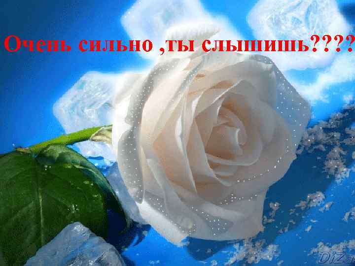 Очень сильно , ты слышишь? ? 
