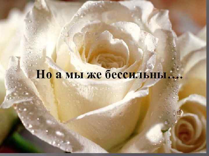 Но а мы же бессильны…. 