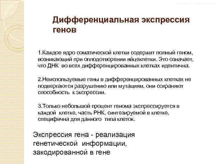 Лекции Р. П. Костюченко Дифференциальная экспрессия генов 1960 -е 1. Каждое ядро соматической клетки