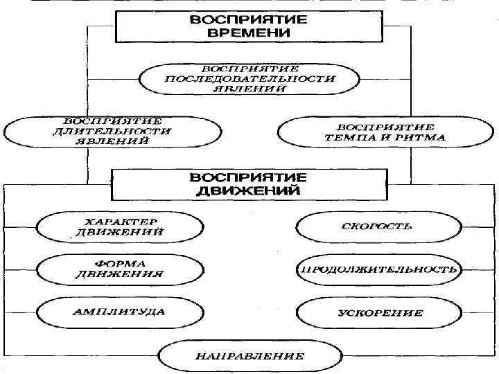 Восприятие 1