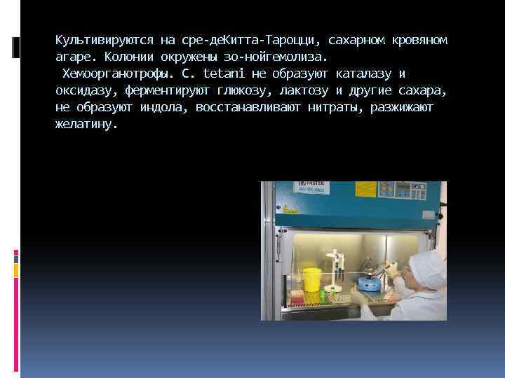 Культивируются на сре де итта Тароцци, сахарном кровяном К агаре. Колонии окружены зо ной