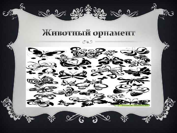 Животный орнамент 