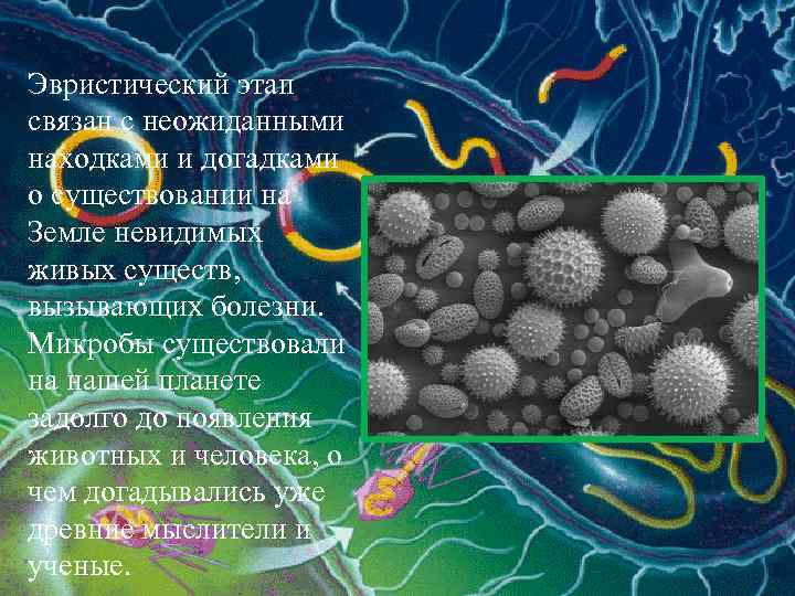 Эвристический этап связан с неожиданными находками и догадками о существовании на Земле невидимых живых