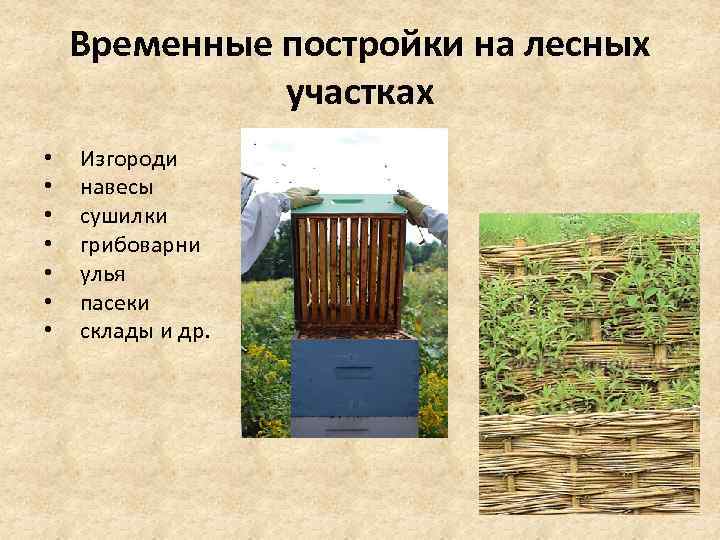 Временные постройки на лесных участках • • Изгороди навесы сушилки грибоварни улья пасеки склады