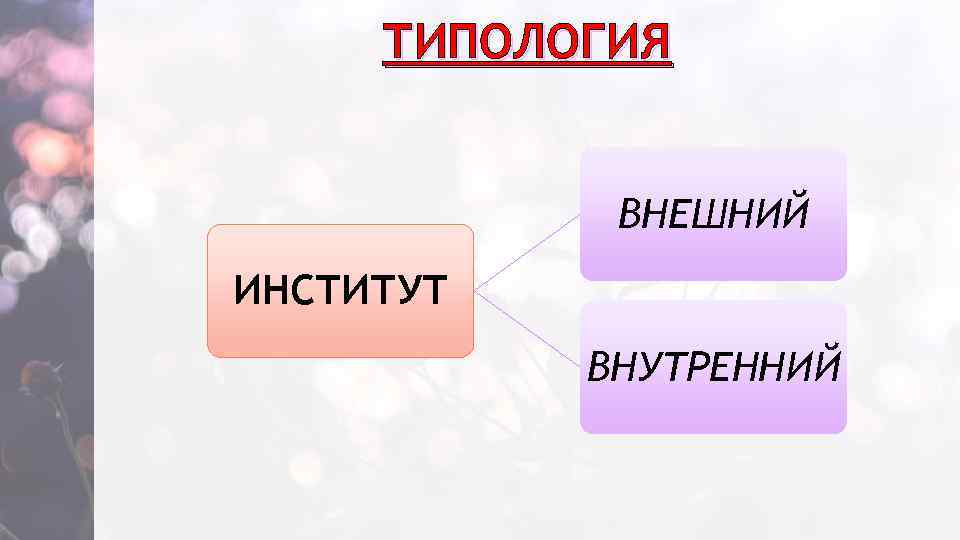 ТИПОЛОГИЯ ВНЕШНИЙ ИНСТИТУТ ВНУТРЕННИЙ 