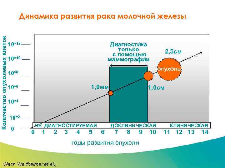 Специализированный семинар Количество опухолевых клеток Динамика развития рака молочной железы Диагностика только с помощью