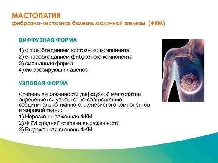 Специализированный семинар МАСТОПАТИЯ фиброзно-кистозная болезнь молочной железы (ФКМ) ДИФФУЗНАЯ ФОРМА 1) с преобладанием кистозного