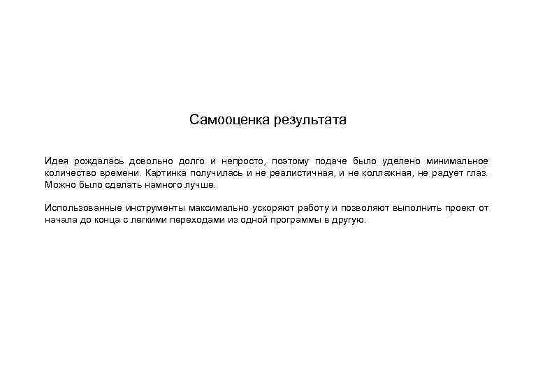 Самооценка результата Идея рождалась довольно долго и непросто, поэтому подаче было уделено минимальное количество