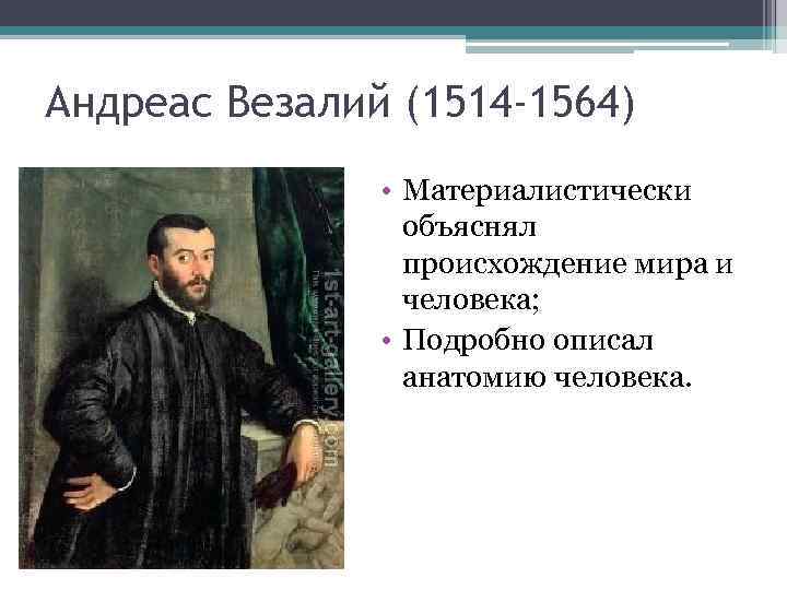 Андреас Везалий (1514 -1564) • Материалистически объяснял происхождение мира и человека; • Подробно описал