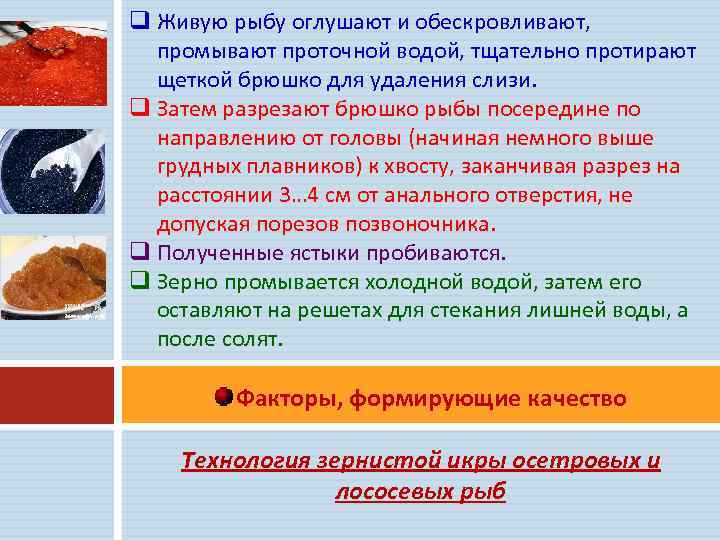 q Живую рыбу оглушают и обескровливают, промывают проточной водой, тщательно протирают щеткой брюшко для