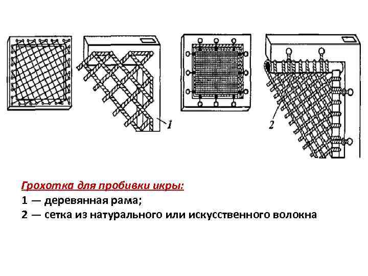 Грохотка для пробивки икры: 1 — деревянная рама; 2 — сетка из натурального или