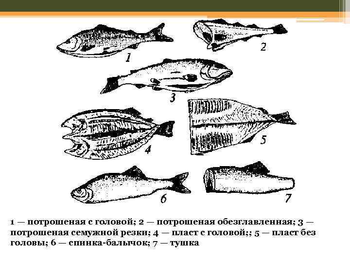 1 — потрошеная с головой; 2 — потрошеная обезглавленная; 3 — потрошеная семужной резки;