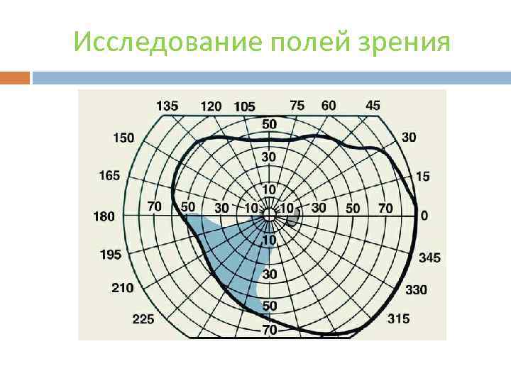 Исследование полей зрения 