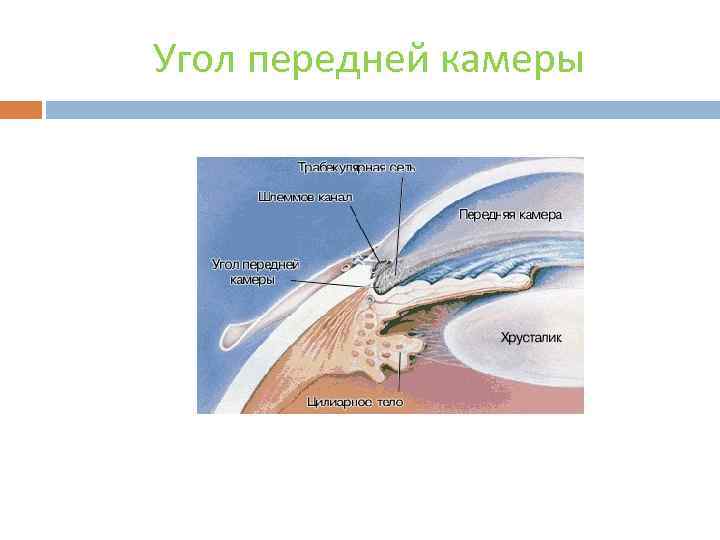 Угол передней камеры 