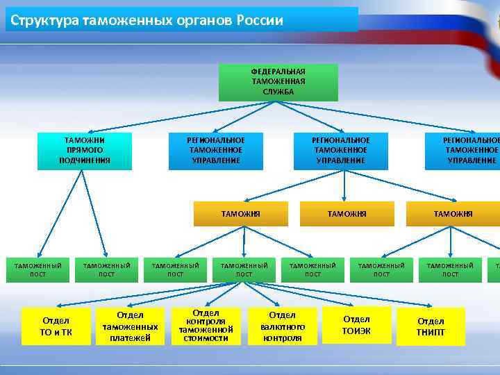 Структура таможенных органов России ФЕДЕРАЛЬНАЯ ТАМОЖЕННАЯ СЛУЖБА ТАМОЖНИ ПРЯМОГО ПОДЧИНЕНИЯ РЕГИОНАЛЬНОЕ ТАМОЖЕННОЕ УПРАВЛЕНИЕ ТАМОЖНЯ