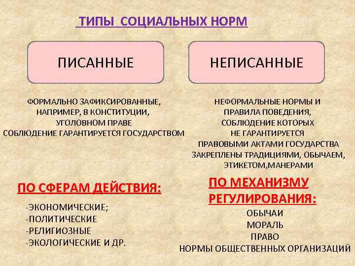 План социальные нормы и их виды