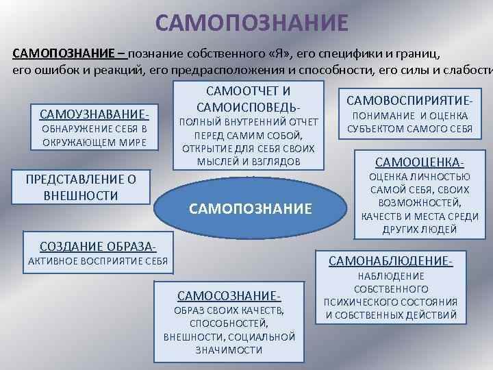 План по теме социальное познание