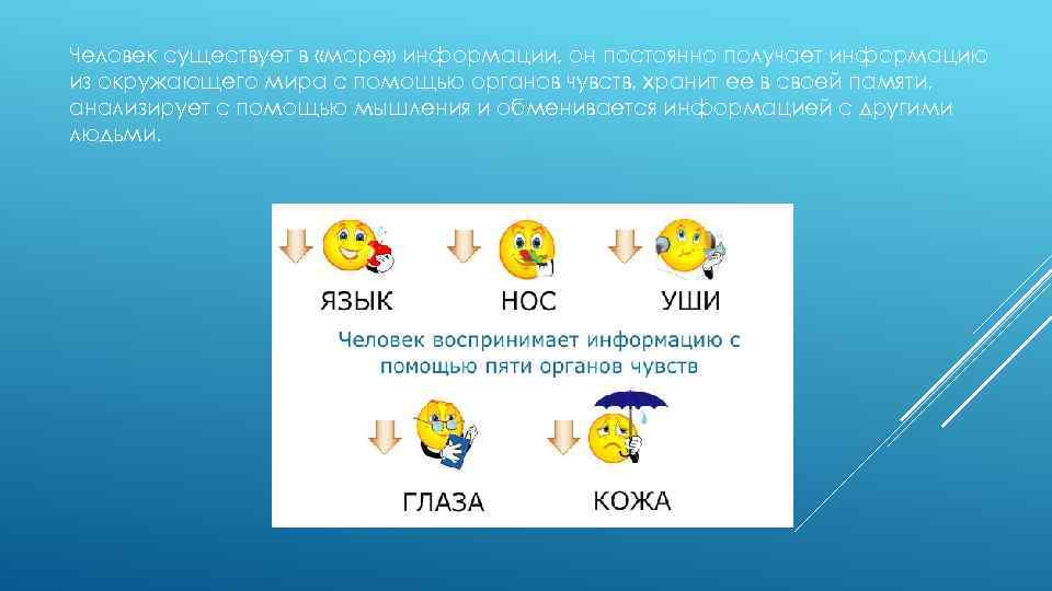 Человек существует в «море» информации, он постоянно получает информацию из окружающего мира с помощью