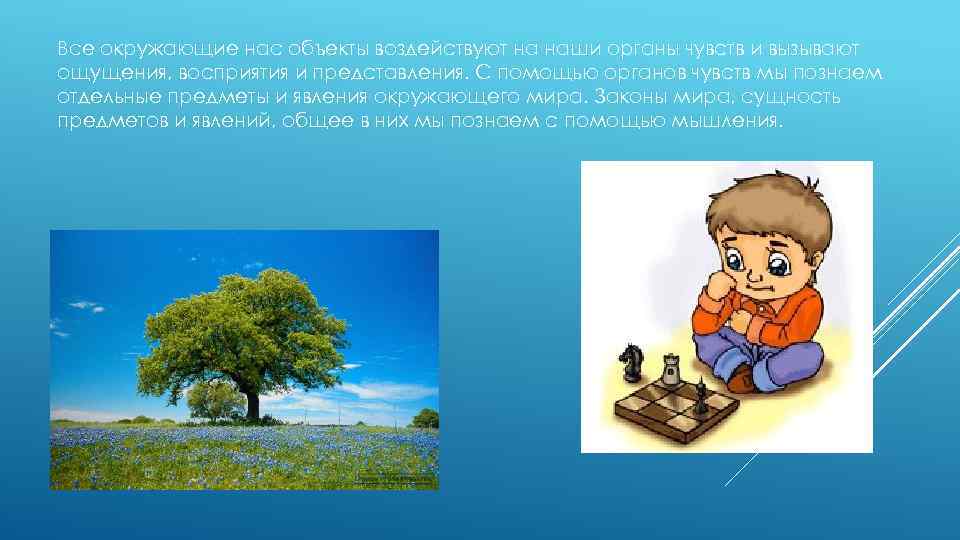 Все окружающие нас объекты воздействуют на наши органы чувств и вызывают ощущения, восприятия и