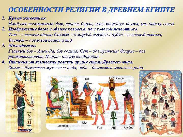 1. Культ животных. Наиболее почитаемые: бык, корова, баран, змея, крокодил, кошка, лев, шакал, сокол