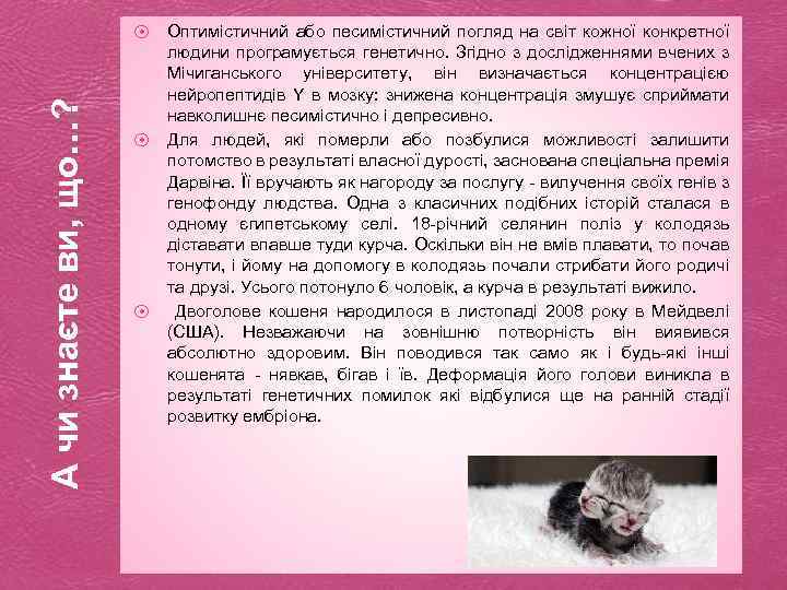 А чи знаєте ви, що…? ⦿ ⦿ ⦿ Оптимістичний або песимістичний погляд на світ