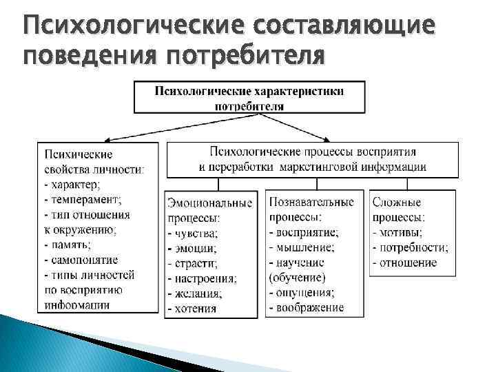 Составляющие поведения