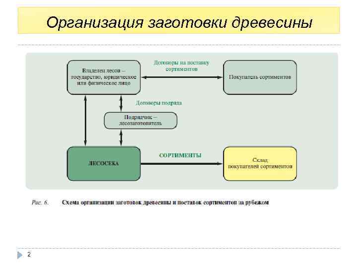 Организация заготовки древесины 2 