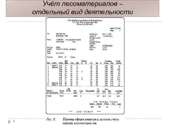 Учёт лесоматериалов – отдельный вид деятельности 7 