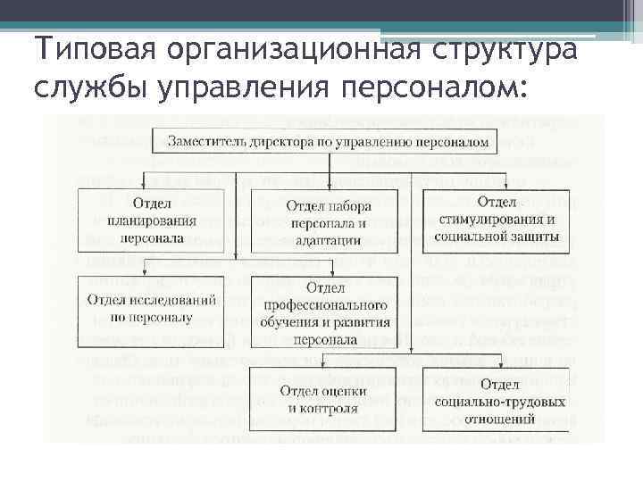 Типовая организационная структура службы управления персоналом: 