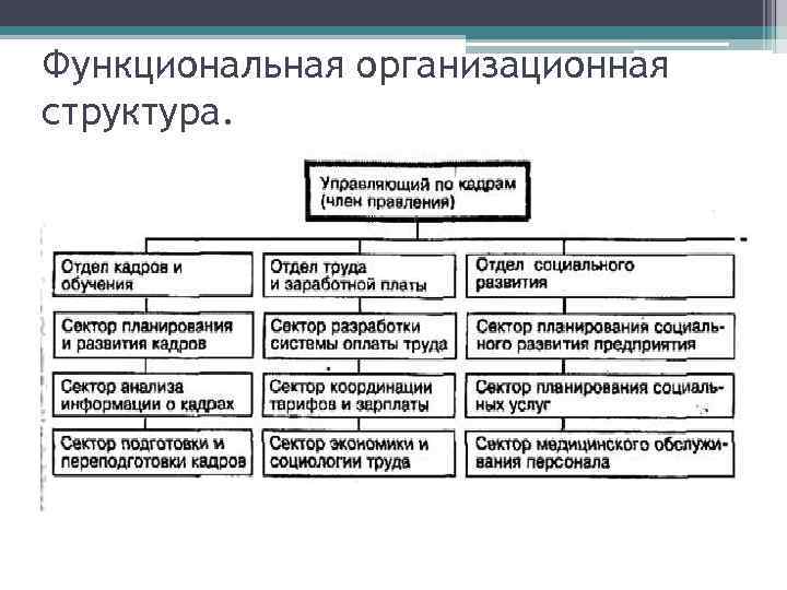 Функциональная организационная структура. 