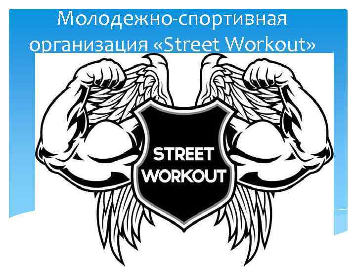 Молодежно-спортивная организация «Street Workout» 