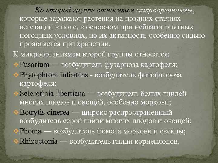Ко второй группе относятся микроорганизмы, которые заражают растения на поздних стадиях вегетации в поле,