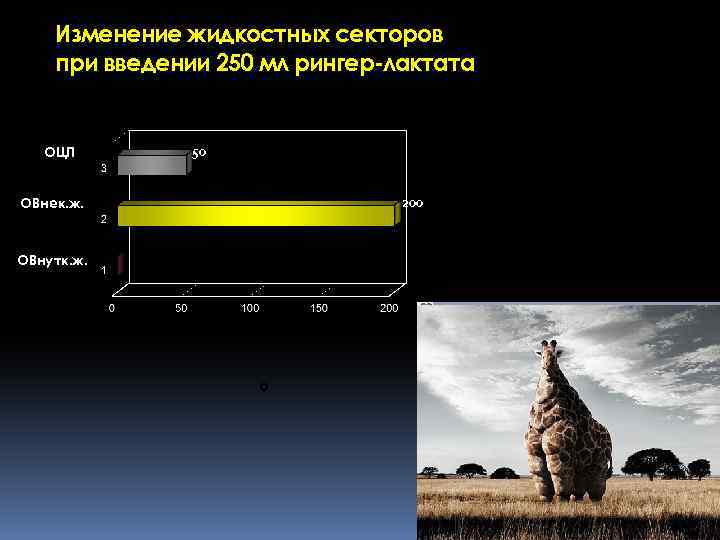 Изменение жидкостных секторов при введении 250 мл рингер-лактата ОЦП 50 ОВнек. ж. 200 ОВнутк.