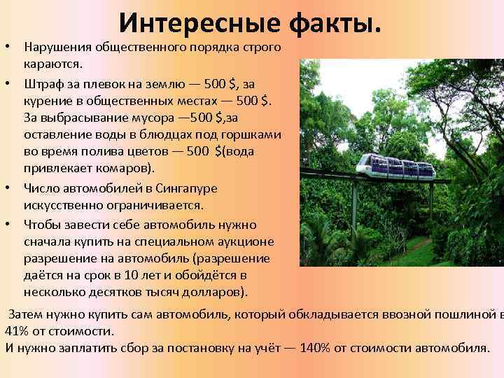 Интересные факты. • Нарушения общественного порядка строго караются. • Штраф за плевок на землю