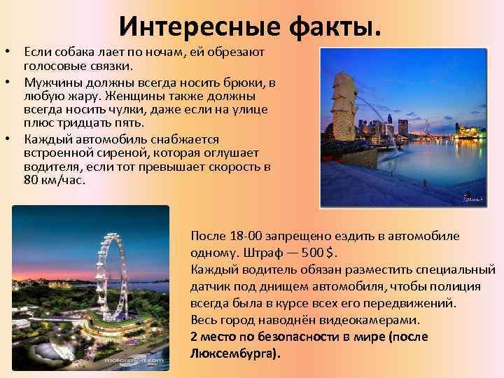 Интересные факты. • Если собака лает по ночам, ей обрезают голосовые связки. • Мужчины