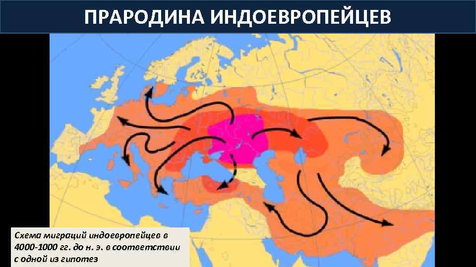 ПРАРОДИНА ИНДОЕВРОПЕЙЦЕВ Схема миграций индоевропейцев в 4000 -1000 гг. до н. э. в соответствии