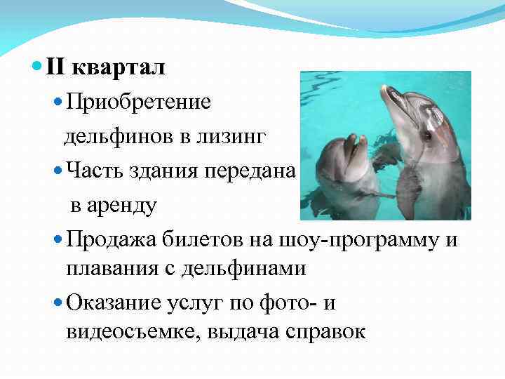  II квартал Приобретение дельфинов в лизинг Часть здания передана в аренду Продажа билетов