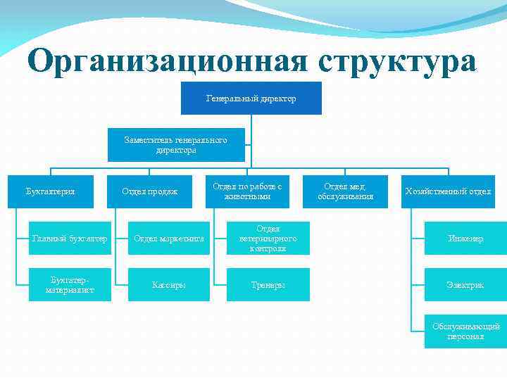 Организационная структура Генеральный директор Заместитель генерального директора Бухгалтерия Отдел продаж Отдел по работе с