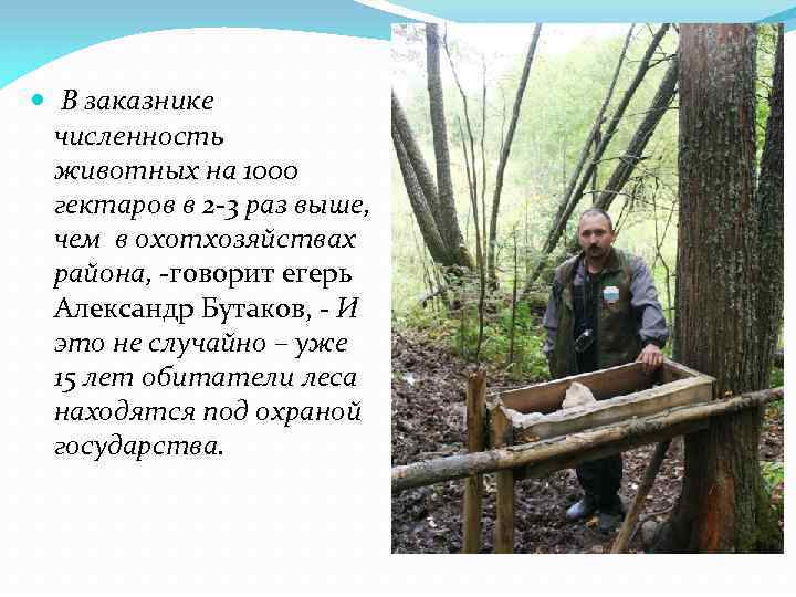  В заказнике численность животных на 1000 гектаров в 2 -3 раз выше, чем