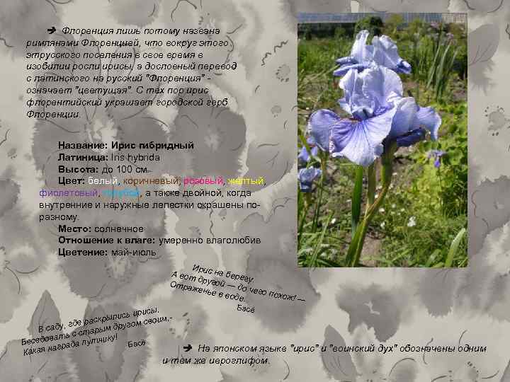  Флоренция лишь потому названа римлянами Флоренцией, что вокруг этого этрусского поселения в свое