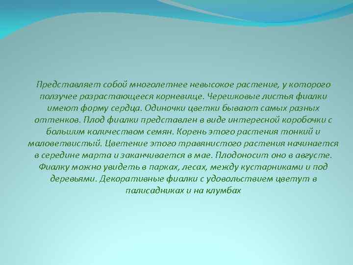 Представляет собой многолетнее невысокое растение, у которого ползучее разрастающееся корневище. Черешковые листья фиалки имеют