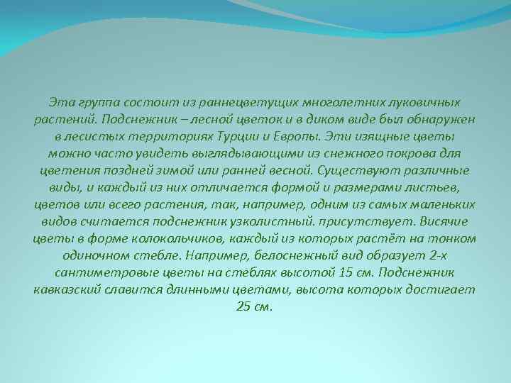 Эта группа состоит из раннецветущих многолетних луковичных растений. Подснежник – лесной цветок и в