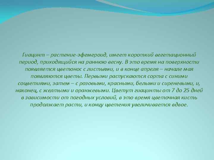 Гиацинт – растение-эфемероид, имеет короткий вегетационный период, приходящийся на раннюю весну. В это время